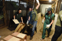 IAT resgata 29 cutias e 9 pacas de criadouro irregular em Cantagalo, no Centro-Sul