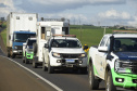 IAT resgata 29 cutias e 9 pacas de criadouro irregular em Cantagalo, no Centro-Sul