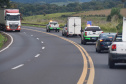 IAT resgata 29 cutias e 9 pacas de criadouro irregular em Cantagalo, no Centro-Sul
