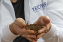 Tecpar inicia projeto inédito para estudar DNA do solo do Paraná