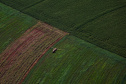 Webinar orienta empresas sobre como participar do programa Nexus de inovação no agro