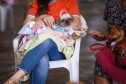 Para ampliar políticas públicas, Estado cria Superintendência-Geral de Proteção Animal