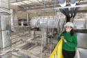 Tecpar inicia pesquisa para produção de insumos para diagnóstico da brucelose