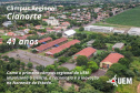 Primeiro câmpus regional da UEM comemora 41 anos em Cianorte