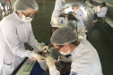 Universidades estaduais ofertam atendimento odontológico gratuito para crianças e bebês