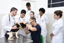 Universidades estaduais oferecem assistência a animais de pequeno e grande porte
