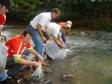 TC 1503 - Repovoamento de Peixes do Reservatório de Caxias – Rio Iguaçu. 