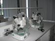 CV 1303 - Projeto Centro de Biotecnologia Agroindustrial do Paraná - CENBAPAR. 