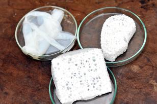 Membrana é composta por nanopartícula bacteriana ou celulose (vegetal)