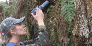 Unicentro realiza inventário da fauna e da flora em área de proteção ambiental