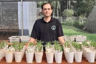 UEL registra patente de processo agrícola em parceria com Universidade Federal