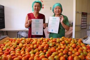 certificadas do programa 