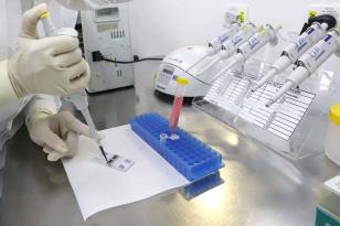 Paraná destina R$ 1,5 milhão para programas de pós-graduação das Universidades