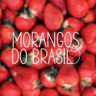 Rede de pesquisa paranaense pretende impulsionar produção de morangos no Brasil