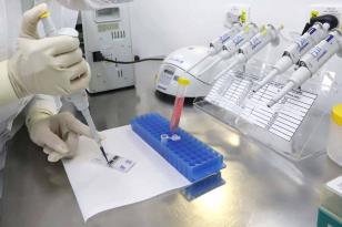 Nova Lei de Inovação fomenta desenvolvimento de áreas estratégicas