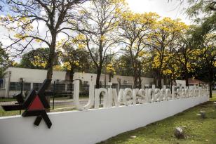 Pesquisadores da UEM desenvolvem solução sustentável para o descarte de bitucas