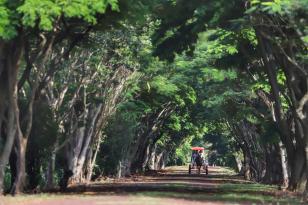 Paraná é selecionado para programa da União Europeia para o desenvolvimento sustentável