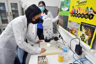 Pesquisadoras em laboratório