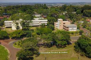 UEL promove curso sobre estratégias de leitura e formação de leitores