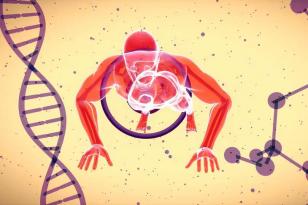 Foto de pessoa se exercitando