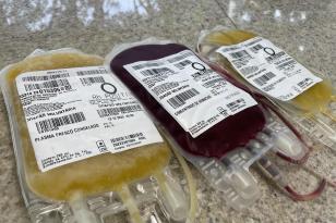 Hemocentro da UEM distribuiu 6.400 bolsas de hemocomponentes no último ano