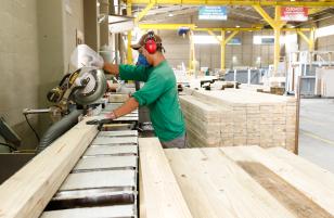 Estado integra missão para Suécia e Áustria focada no uso de madeira engenheirada
