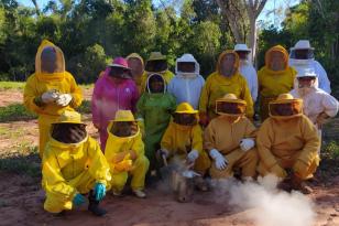 Centro da UEM desenvolve pesquisa genética com abelhas em Diamante do Norte