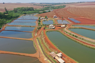 Estado e Biopark oferecem bolsas de estudo para mapeamento da piscicultura