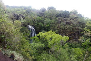 Paraná reforça conservação da biodiversidade com apoio do Fundo Verde do BRDE