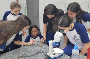 Com apoio do Estado, feira de ciências vai reunir 1,5 mil participantes em Curitiba