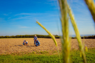 Paraná seleciona 253 profissionais para atuar na difusão de práticas sustentáveis no meio rural