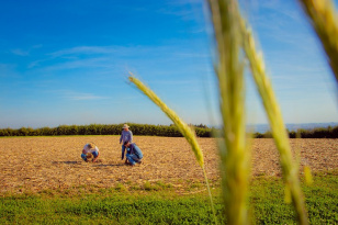 Fundação Araucária levará ao Show Rural mostra de inovações para o agro do Paraná