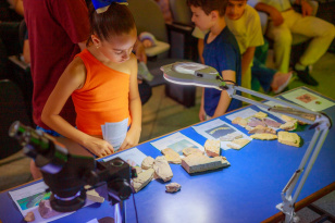 Novo acervo de fósseis fortalece a UEPG como referência na pesquisa paleontológica