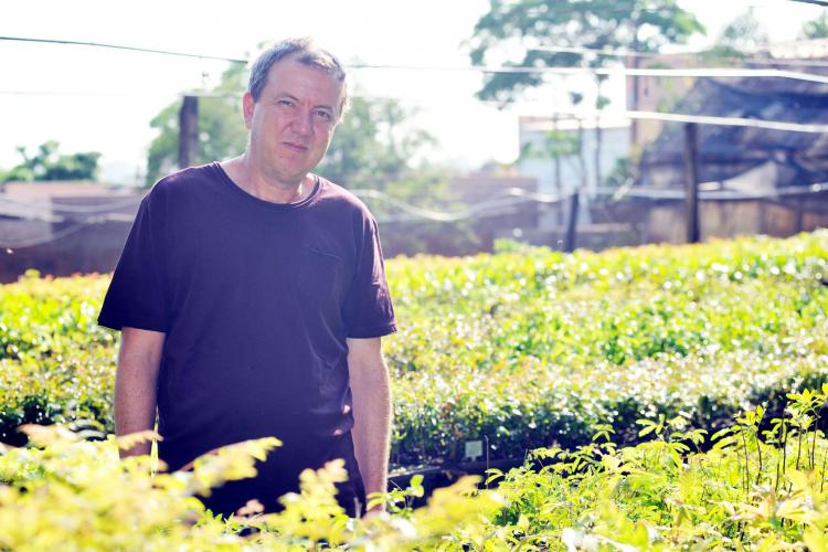 Homem em pé em um viveiro de mudas