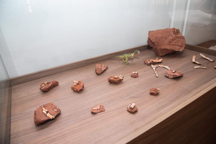 fotos dos sítios paleontológicos