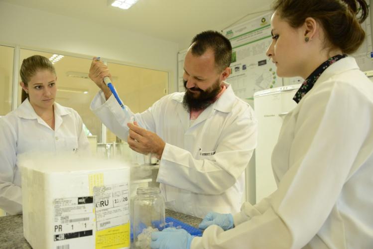 pesquisadores no laboratório