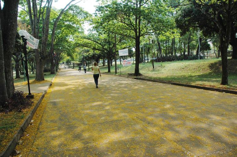 Calçadão da Universidade Estadual de Londrina (UEL), no Norte Central Paranaense, classificada pelo UI GreenMetric World University Ranking 2019 em 16º lugar, entre as Instituições de Ensino Superior (IES) brasileiras analisadas pelo ranking.