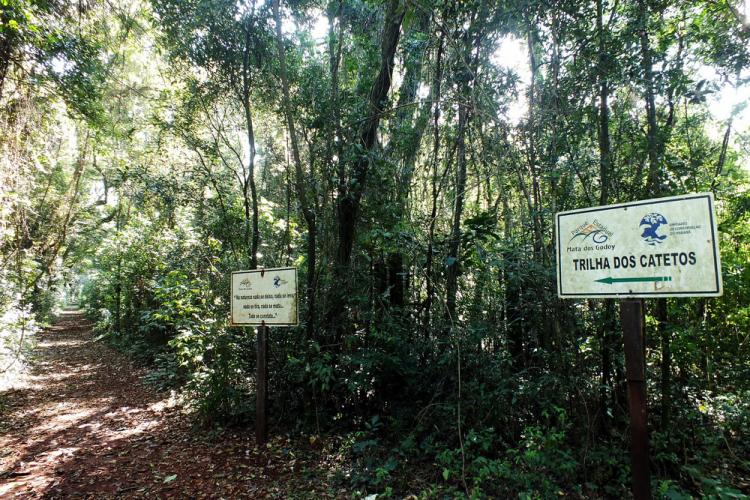 Solo da Mata dos Godoy é foco de pesquisas no Centro de Ciências Biológicas