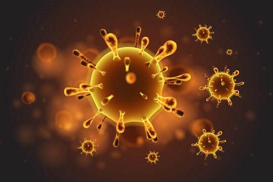 Projeto de extensão "UEL Pela Vida" atua em três frentes contra o coronavírus