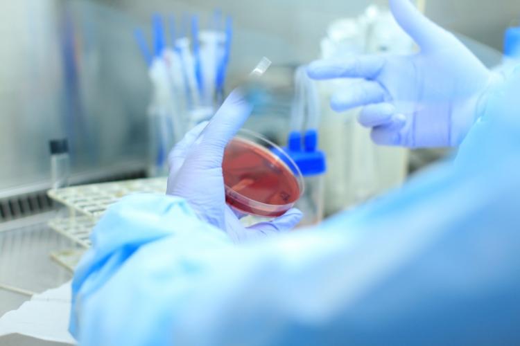 Laboratório do Huop aumentou em 40% o número de exames realizados