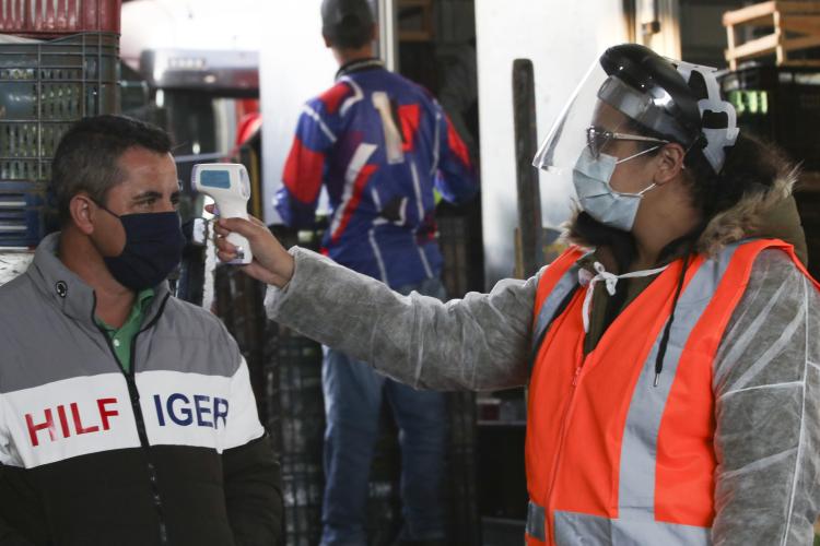 Monitoramento e orientações sobre Covid-19 reduzem contaminação na Ceasa Curitiba