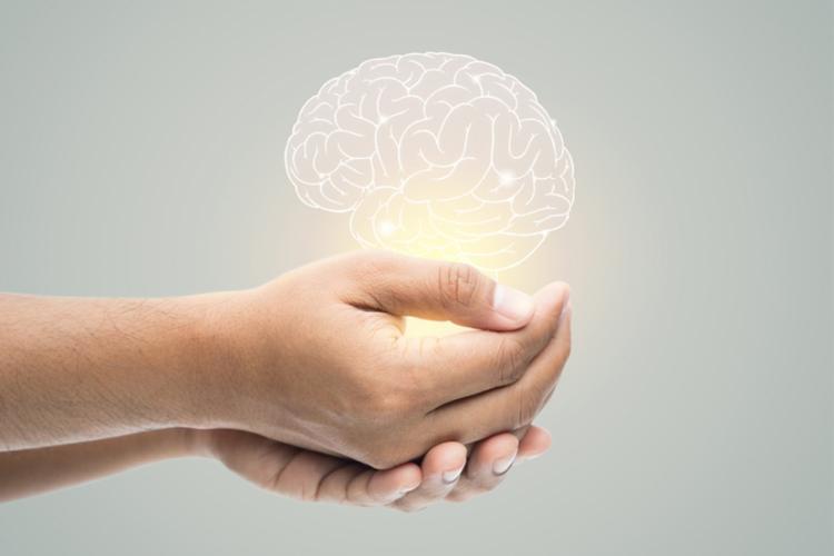 pessoa segurando um cérebro ilustrativo