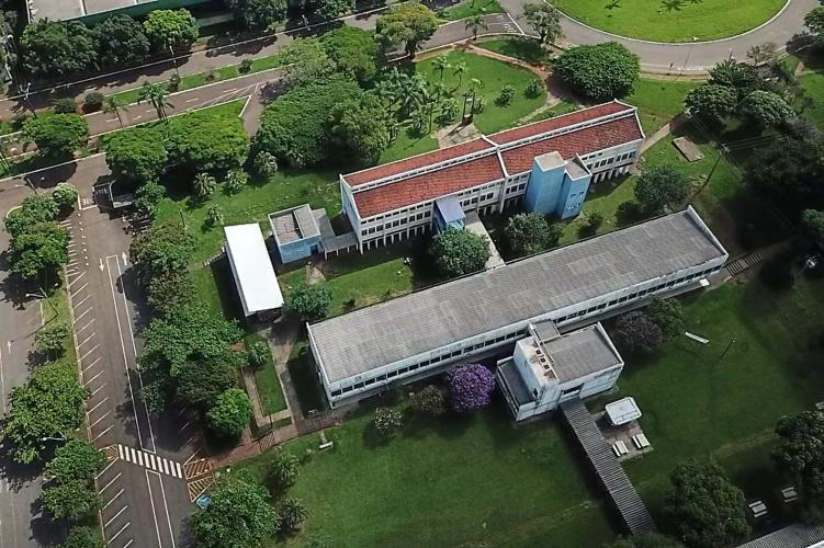 Plantio da 49ª peroba homenageia profissionais da saúde e pacientes curados da COVID-19