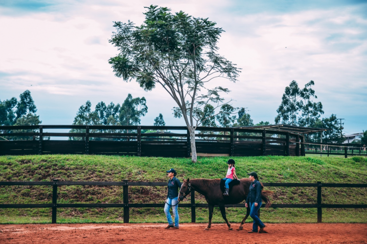 Unioeste tem potencial para ser centro de referência em Equoterapia