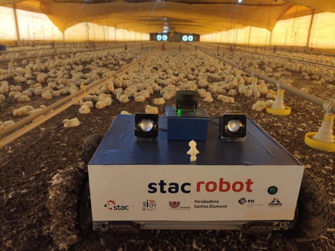 Acadêmicos e ex-alunos conquistam primeiras colocações em desafio nacional da Embrapa para avicultura