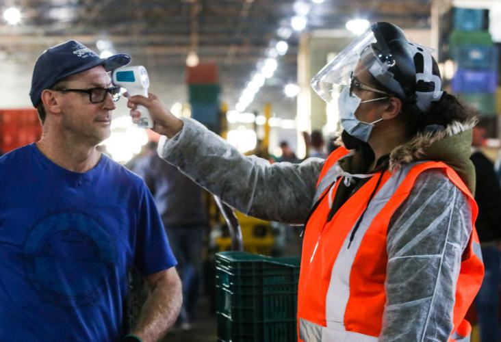 Orientação reduz contaminação por coronavírus na Ceasa Curitiba