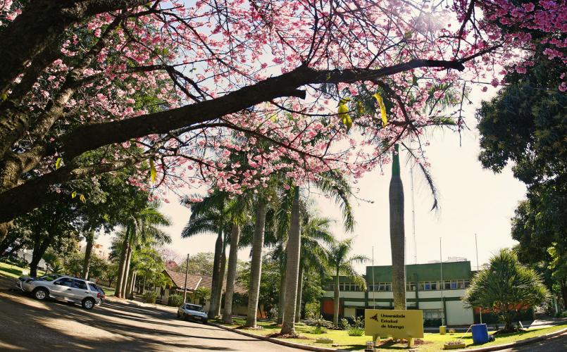 A prioridade de ingresso é para alunos de instituições públicas, depois particulares e, por último, estrangeiras