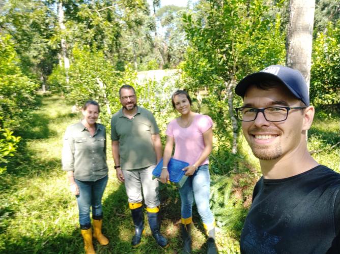 Unioeste desenvolve projetos para controle de pragas da erva-mate