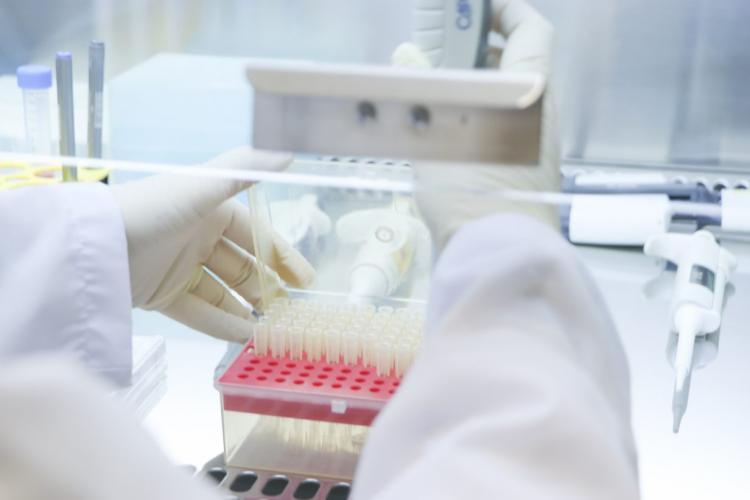 Pesquisadores da UEPG conquistam vaga em programa de intercâmbio da Capes no exterior