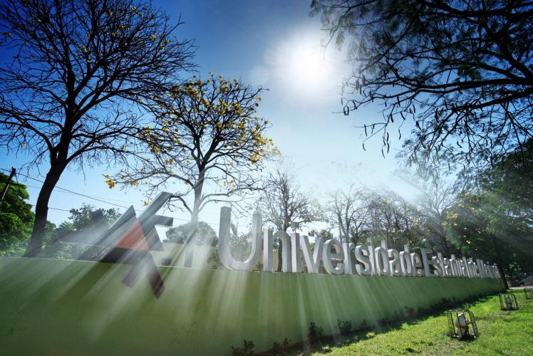 Em um ano, UEM oferta mais de mil atividades online